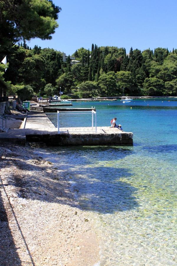 With A Parking Space Cavtat, Dubrovnik - 2132 *